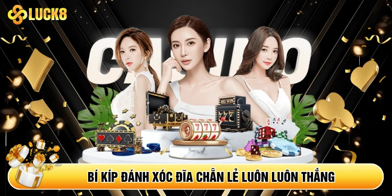 Bí kíp đánh xóc đĩa chẵn lẻ luôn luôn thắng